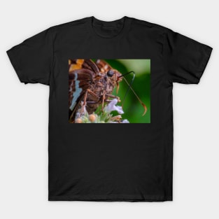 Happy Butterfly Macro Photograph T-Shirt